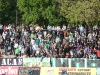 dsc06500-qpr
