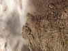 942050_539922836070466_1224977742_n