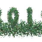new-year-3867671__340